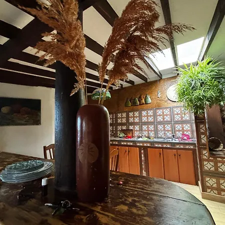 Casa Afrikika Casa Canaria Con Terraza En Garachico דירה *
